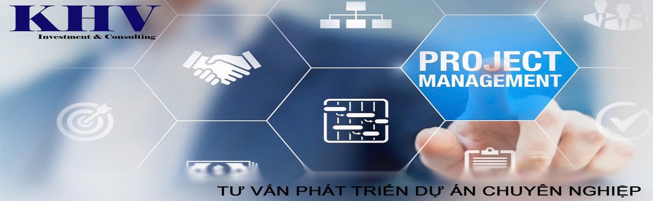 Tư vấn quản lý, Tư vấn đầu tư