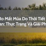 Rủi Ro Mất Mùa Do Thời Tiết Cực Đoan: Thực Trạng Và Giải Pháp