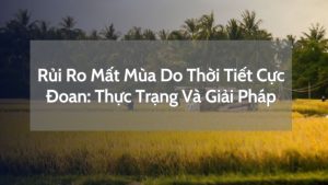 Rủi Ro Mất Mùa Do Thời Tiết Cực Đoan: Thực Trạng Và Giải Pháp